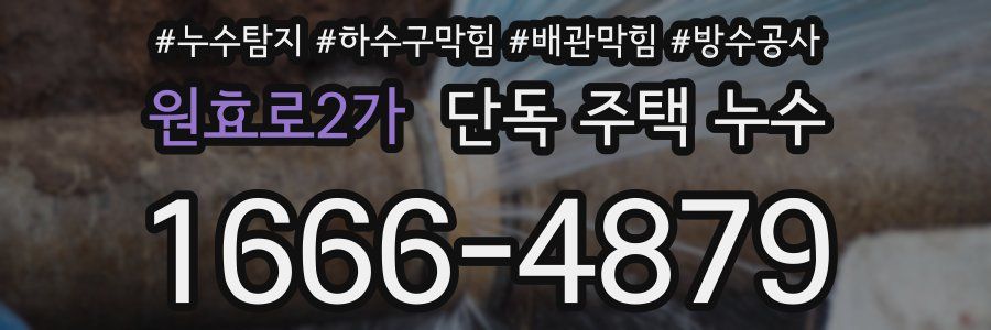 원효로2가 단독 주택 누수