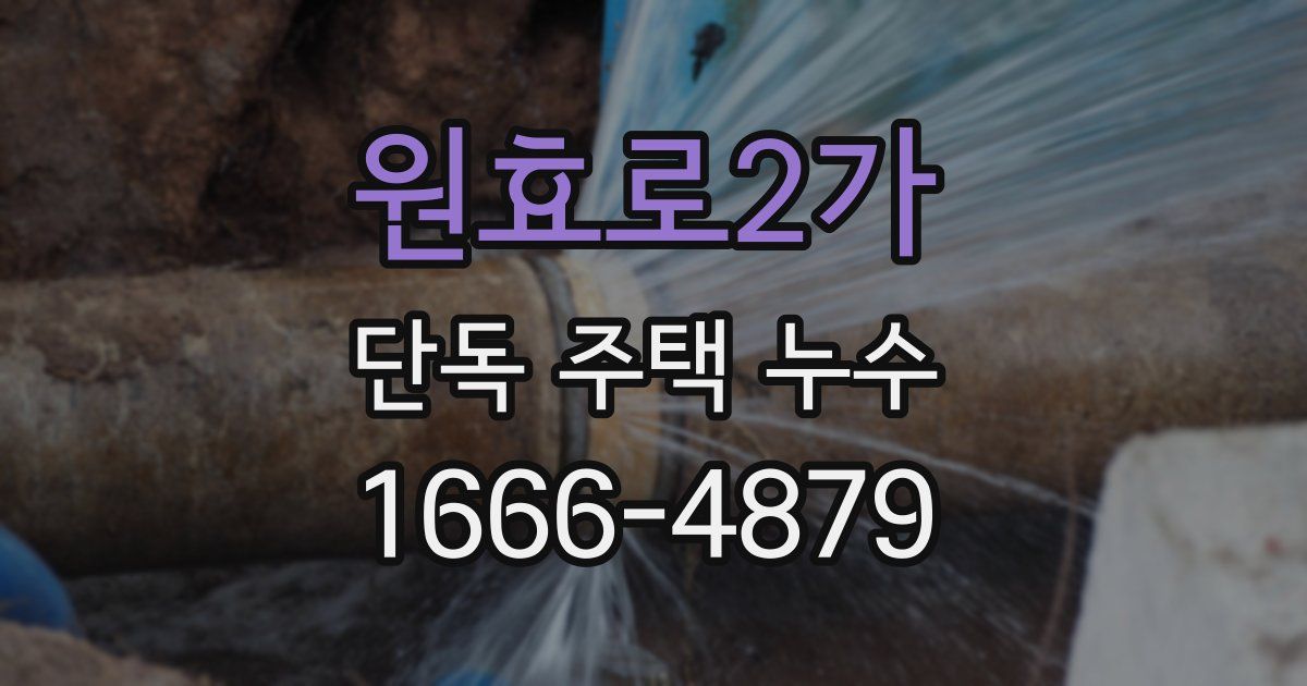 원효로2가 단독 주택 누수