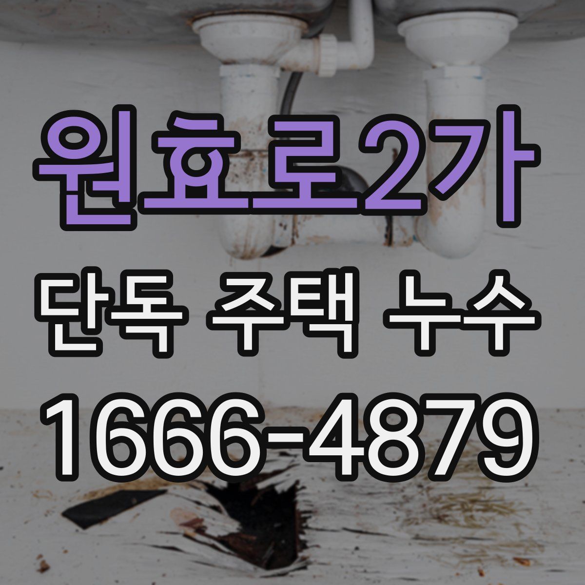 원효로2가 단독 주택 누수