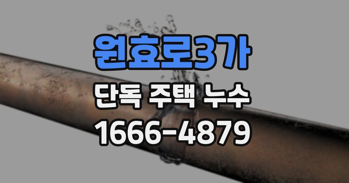 원효로3가 단독 주택 누수