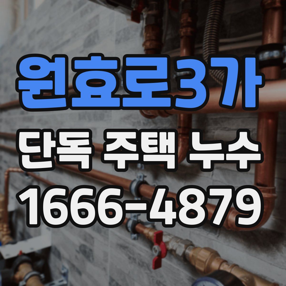 원효로3가 단독 주택 누수