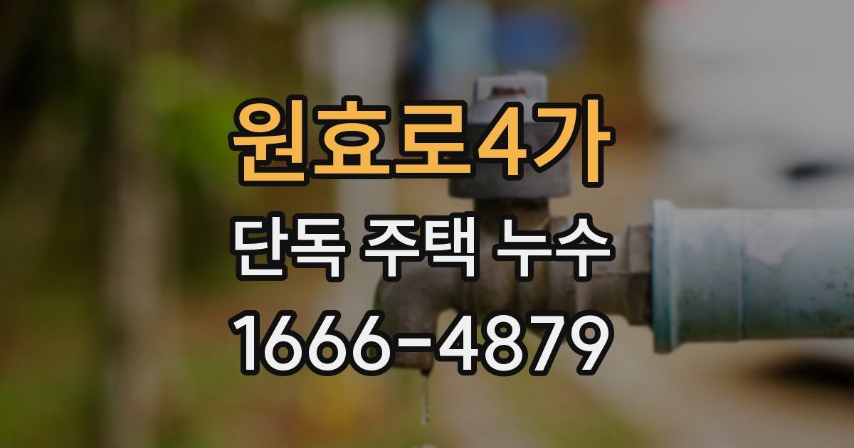 원효로4가 단독 주택 누수