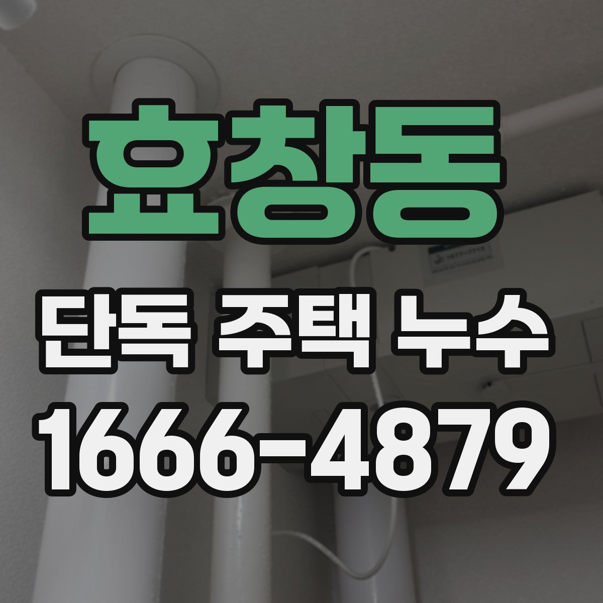 효창동 단독 주택 누수