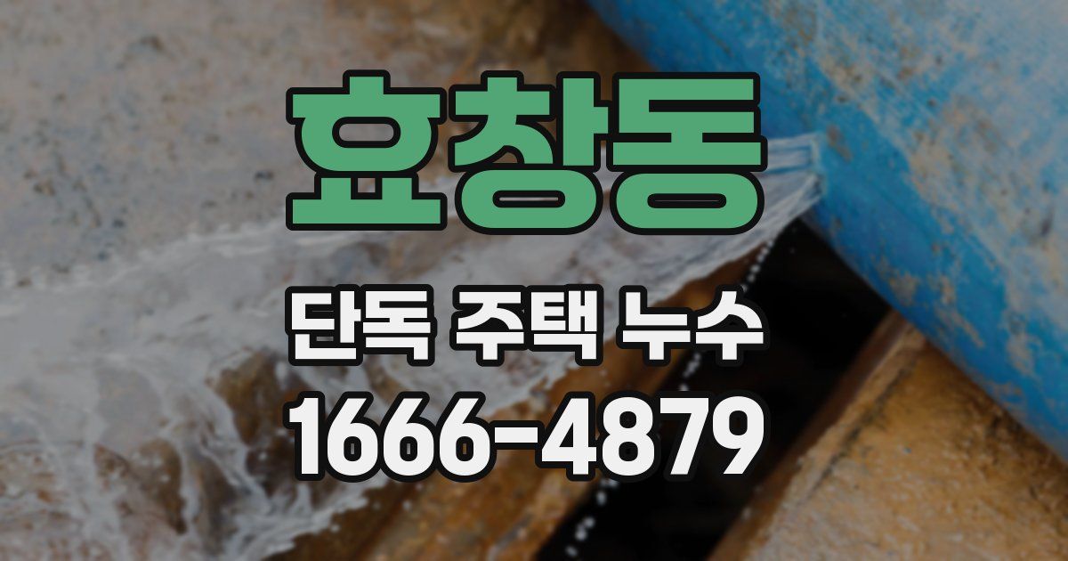 효창동 단독 주택 누수