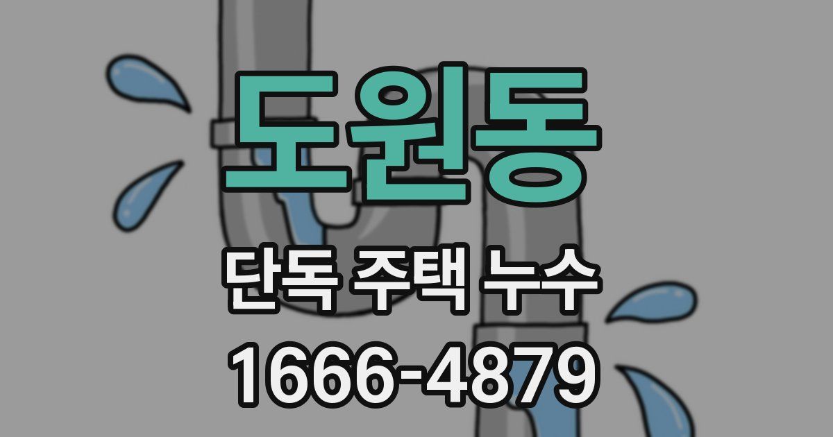 도원동 단독 주택 누수