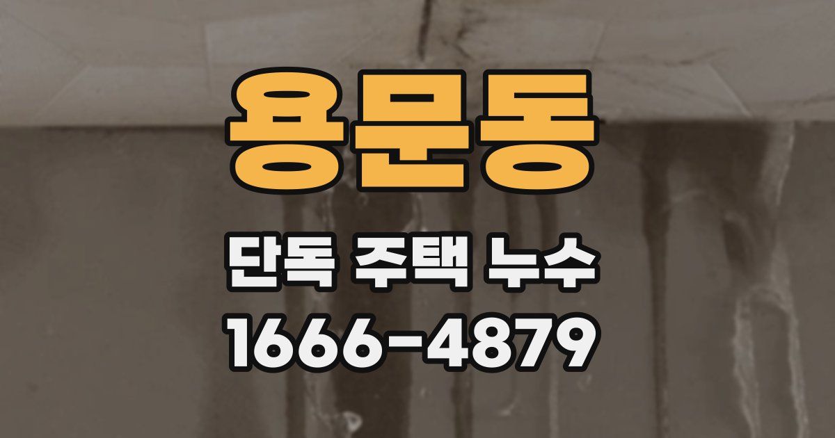 용문동 단독 주택 누수