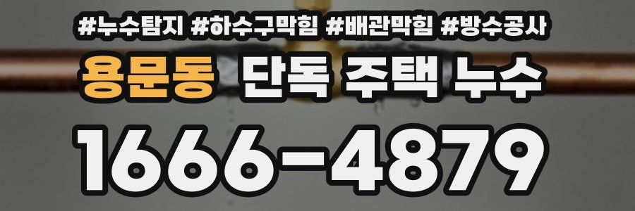 용문동 단독 주택 누수