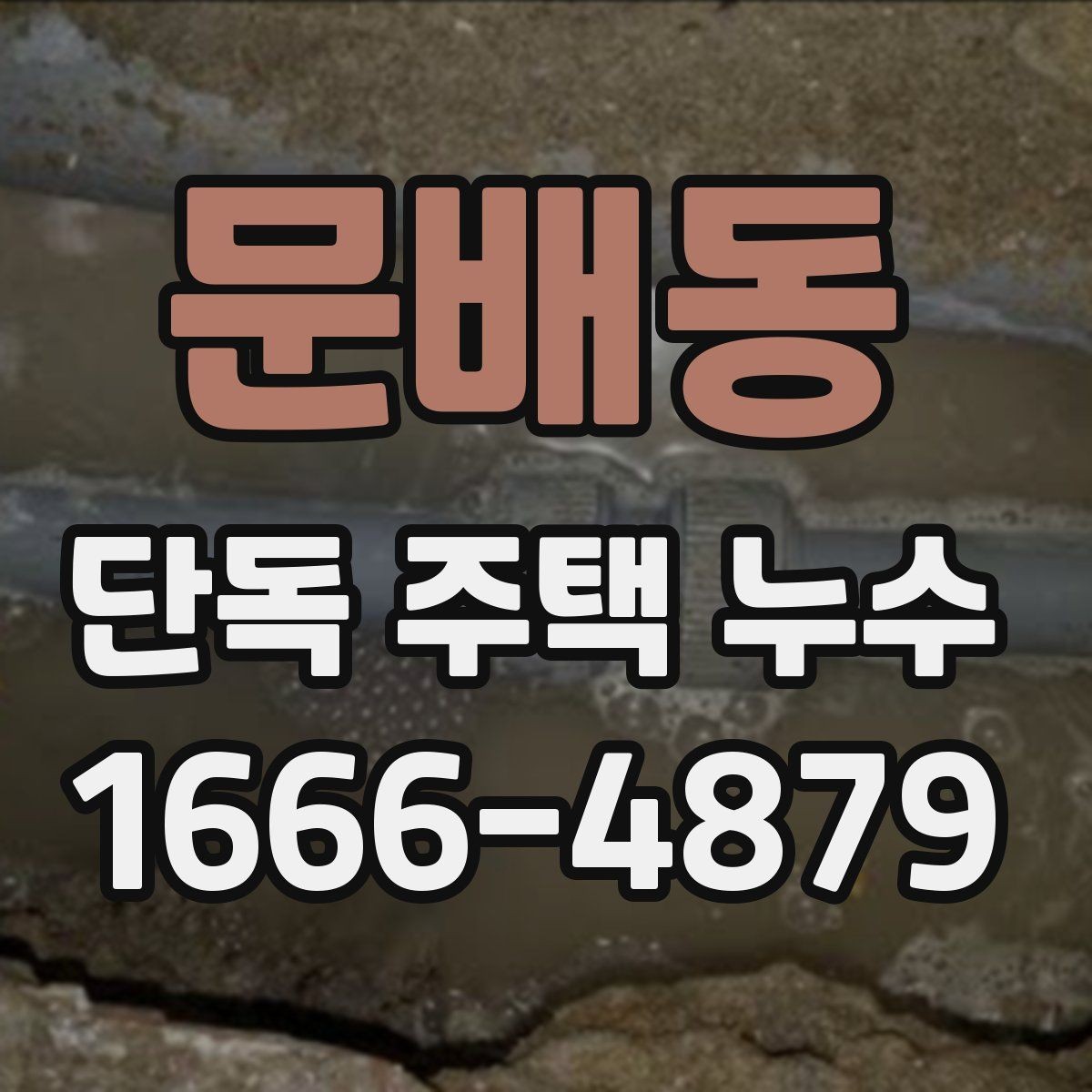 문배동 단독 주택 누수 진단 결과를 해석하는 법