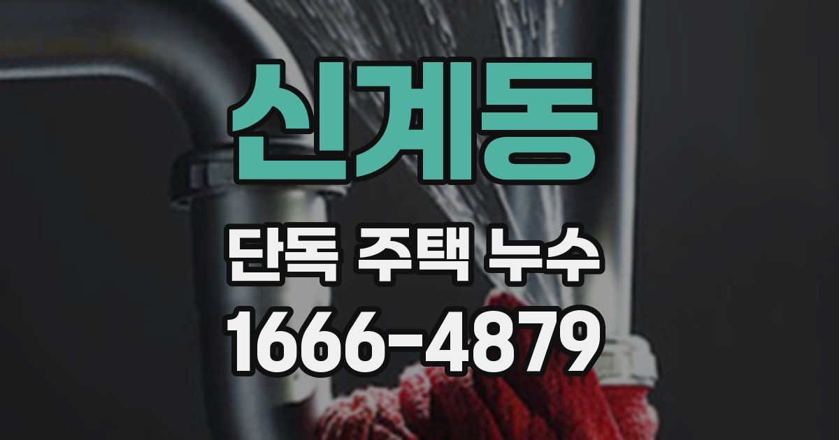 신계동 단독 주택 누수