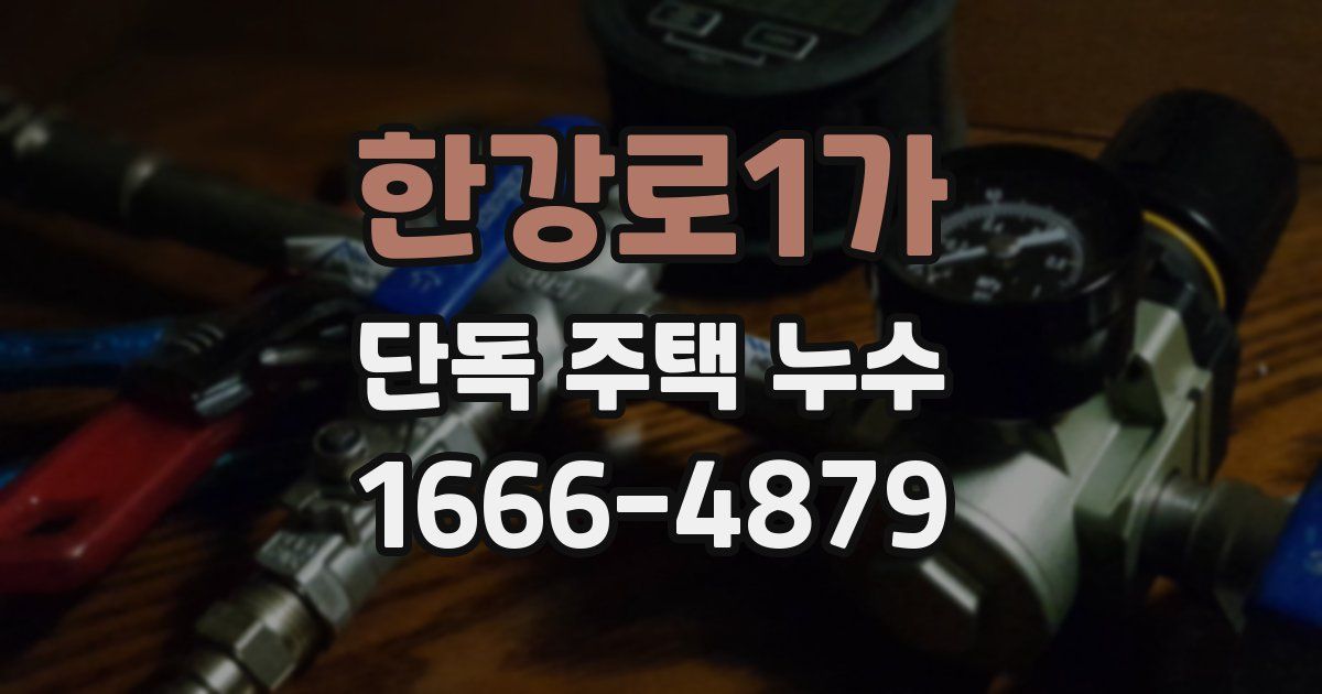 한강로1가 단독 주택 누수