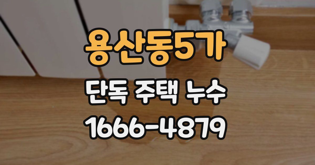 용산동5가 단독 주택 누수