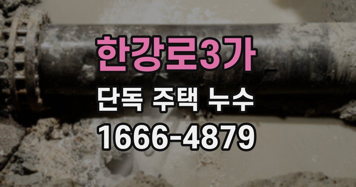 한강로3가 단독 주택 누수