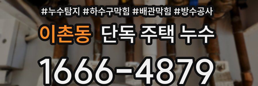 이촌동 단독 주택 누수