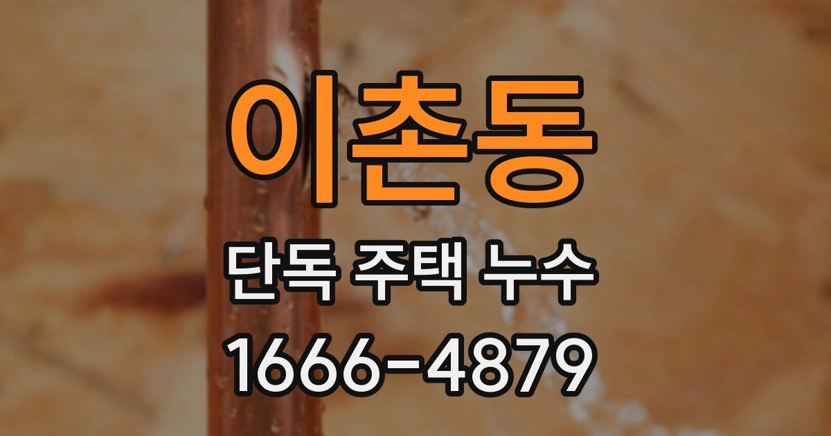 이촌동 단독 주택 누수