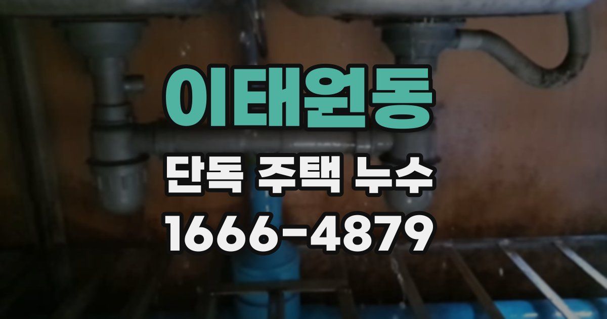 이태원동 단독 주택 누수