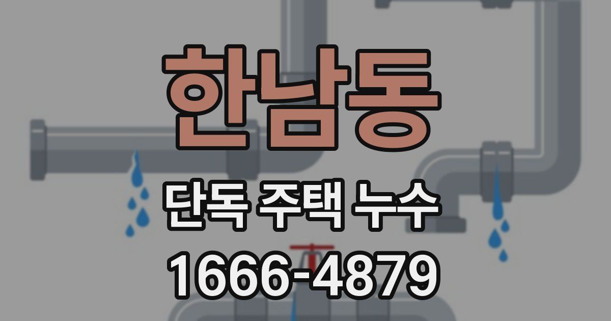 한남동 단독 주택 누수