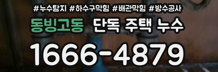 동빙고동 단독 주택 누수