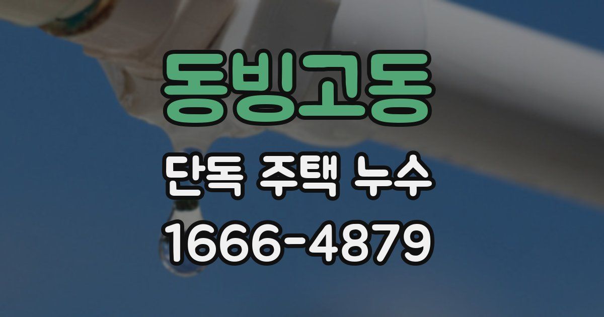 동빙고동 단독 주택 누수