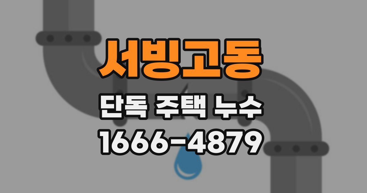서빙고동 단독 주택 누수