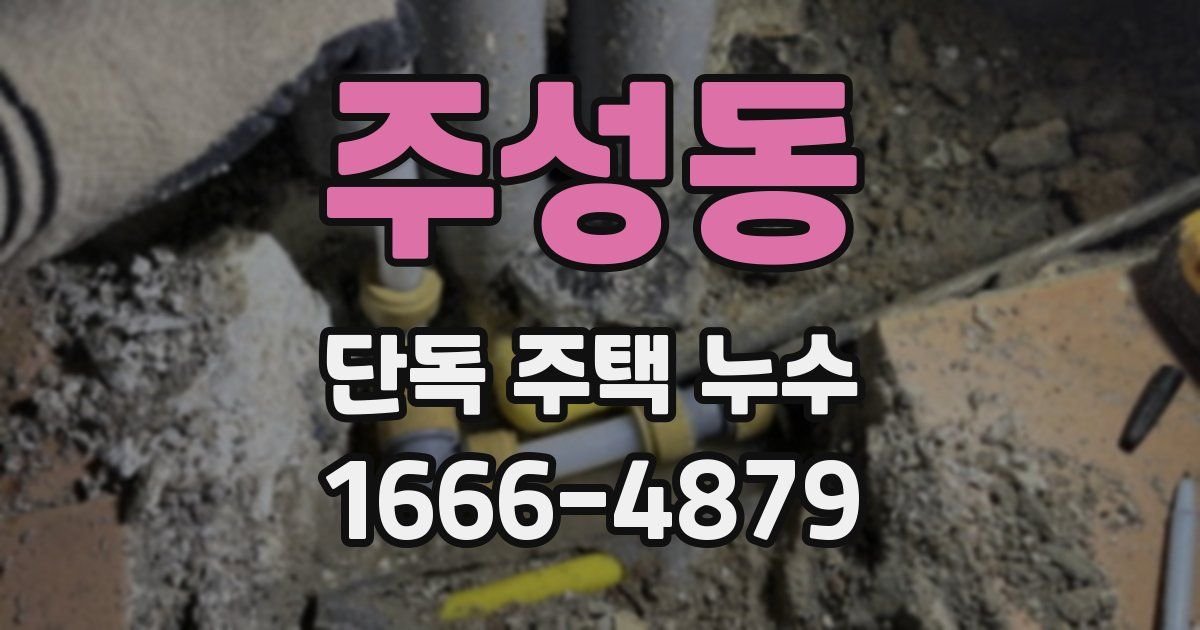 주성동 단독 주택 누수