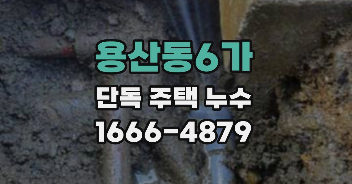 용산동6가 단독 주택 누수
