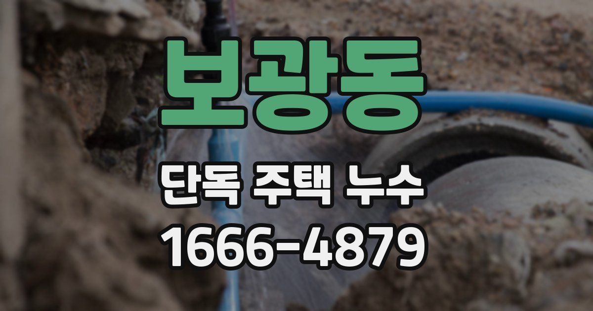 보광동 단독 주택 누수