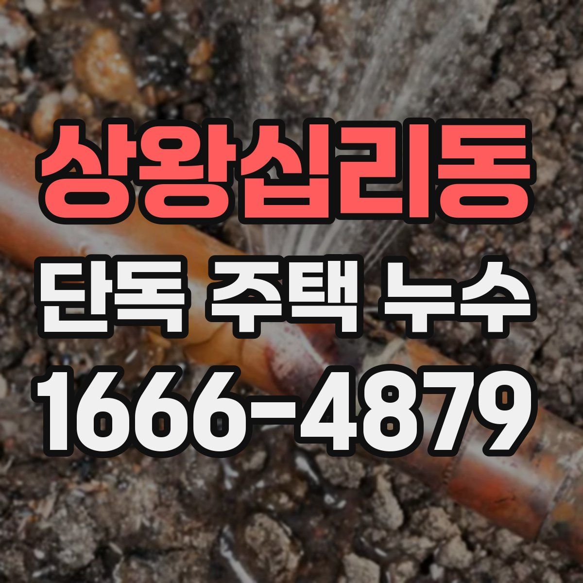 상왕십리동 단독 주택 누수