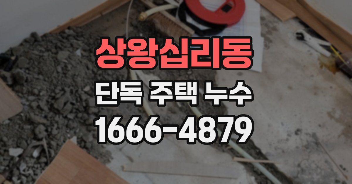 상왕십리동 단독 주택 누수