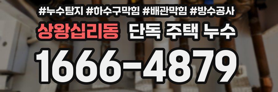 상왕십리동 단독 주택 누수