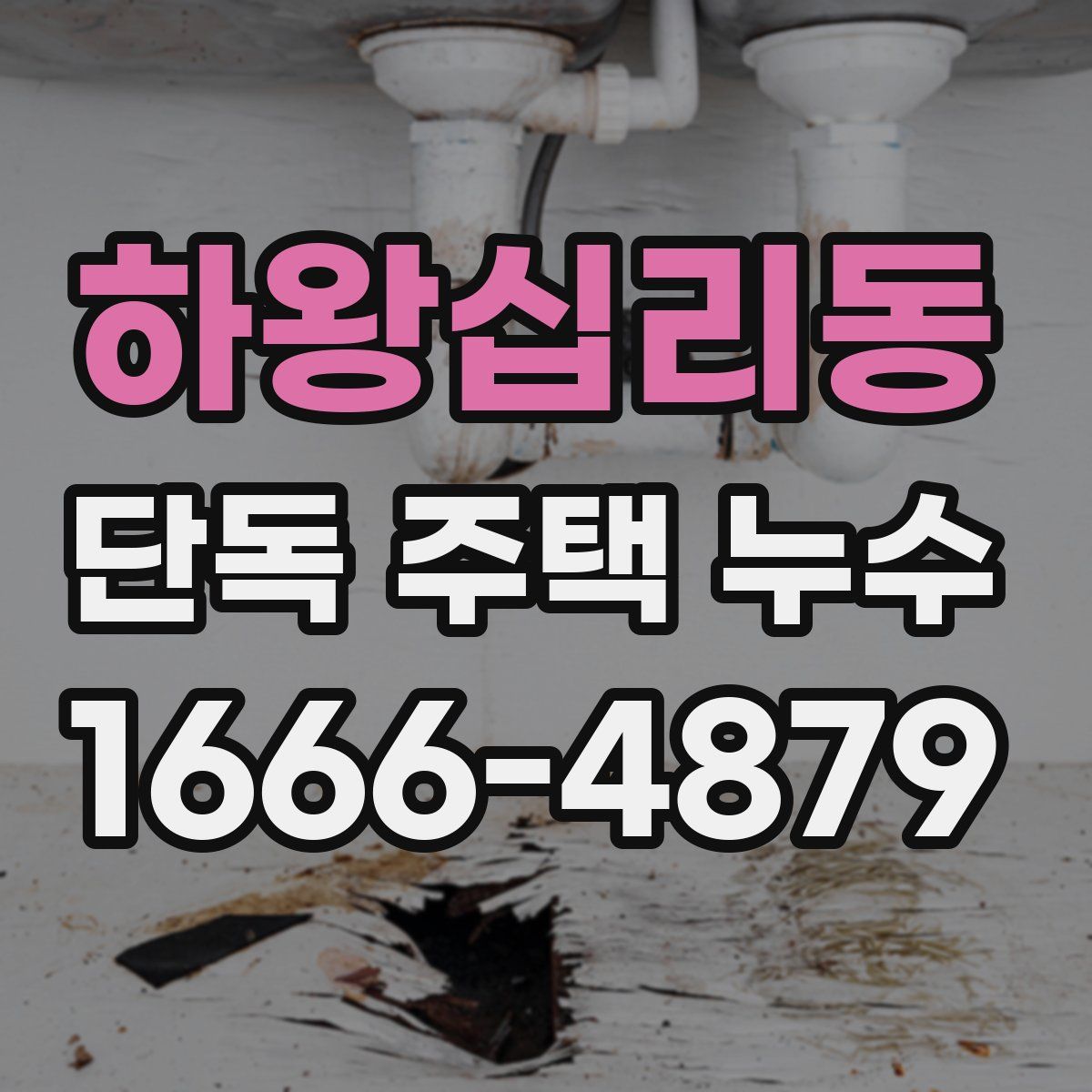 하왕십리동 단독 주택 누수