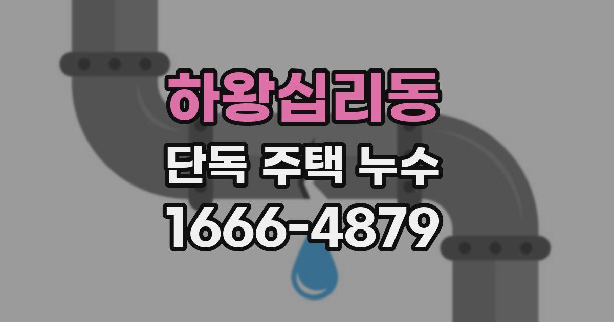 하왕십리동 단독 주택 누수