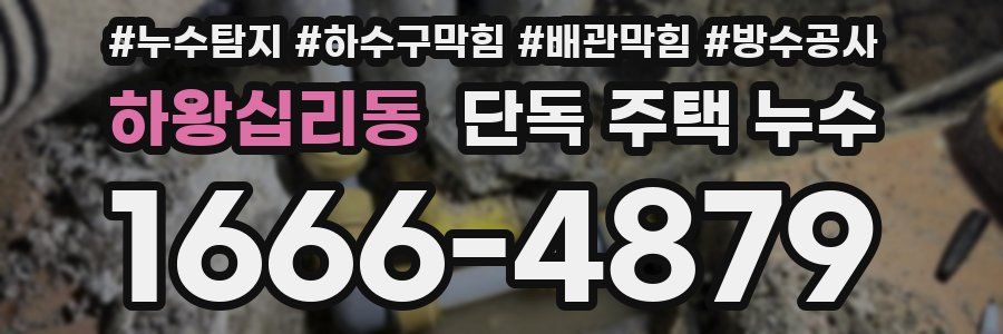 하왕십리동 단독 주택 누수