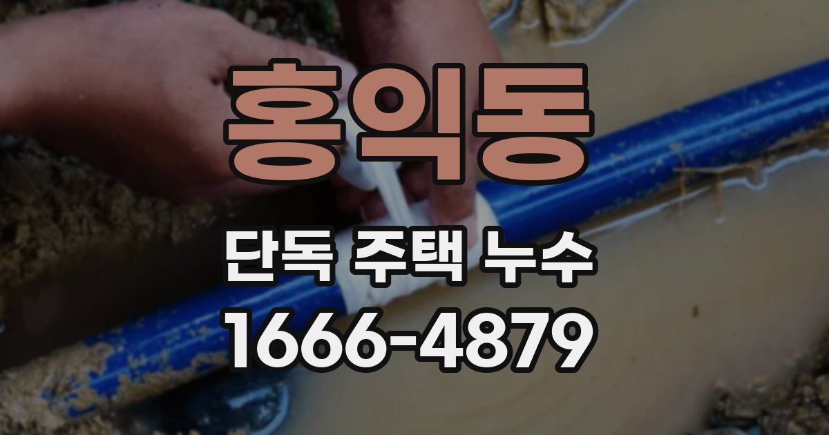 홍익동 단독 주택 누수