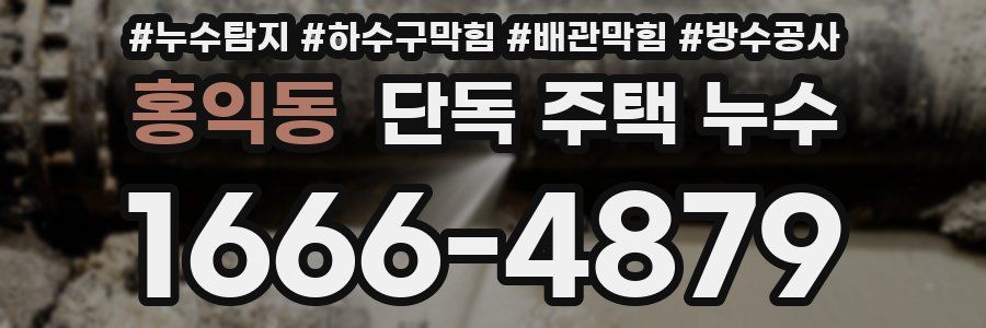 홍익동 단독 주택 누수