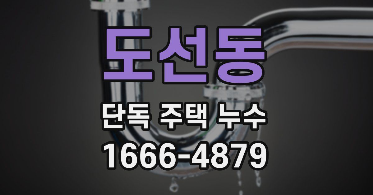 도선동 단독 주택 누수