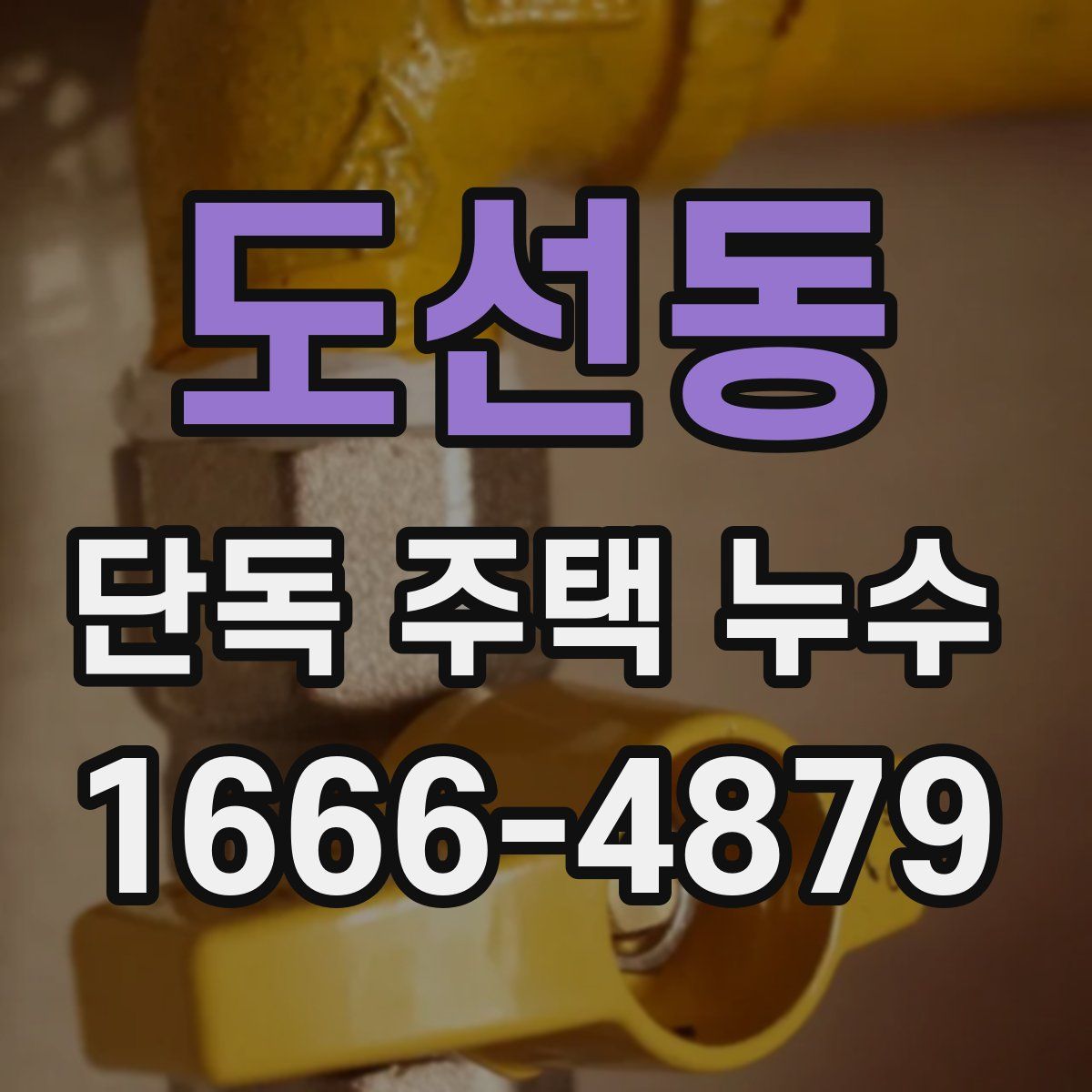 도선동 단독 주택 누수