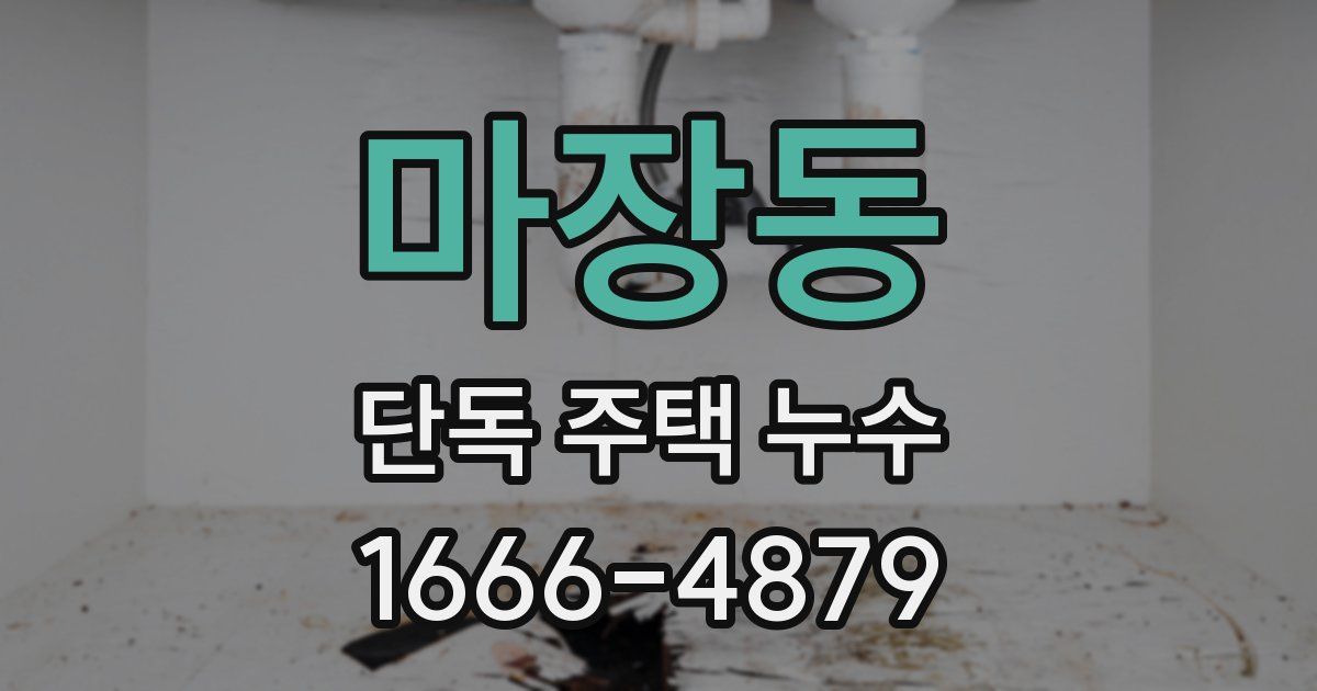 마장동 단독 주택 누수