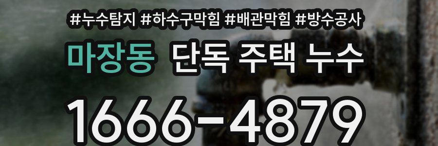 마장동 단독 주택 누수
