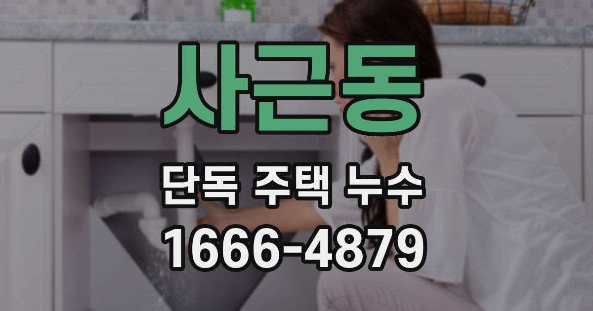 사근동 단독 주택 누수
