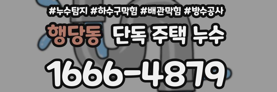 행당동 단독 주택 누수