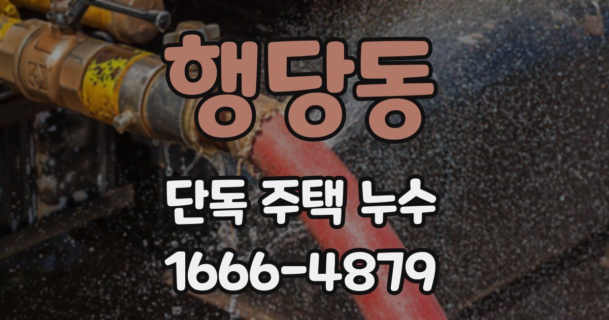 행당동 단독 주택 누수