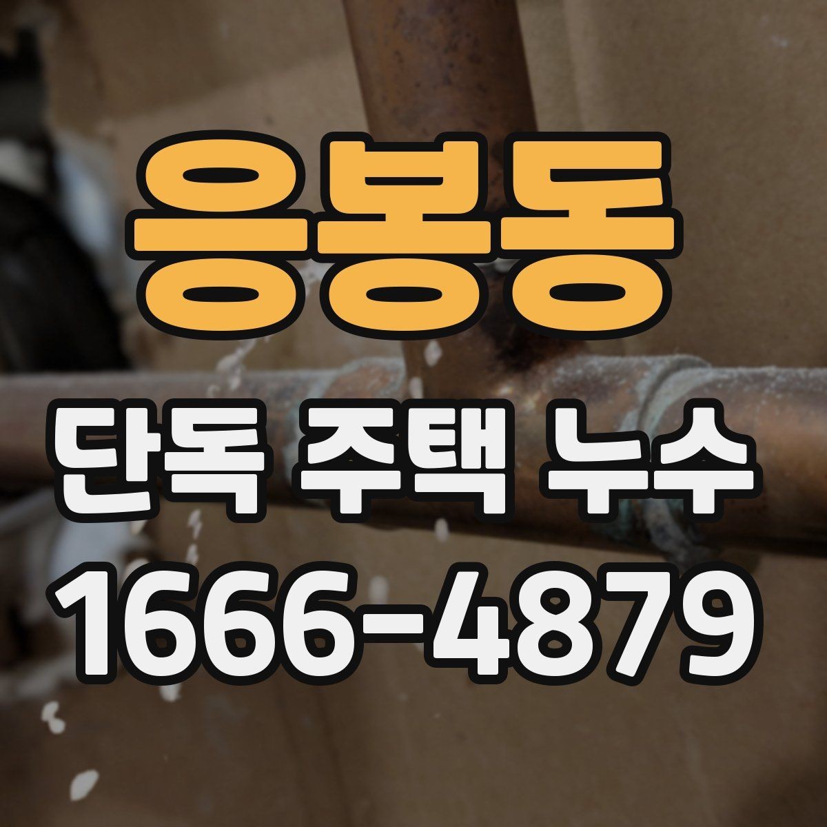 응봉동 단독 주택 누수 발생 원인별 대처 순서