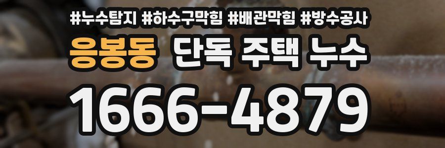 응봉동 단독 주택 누수