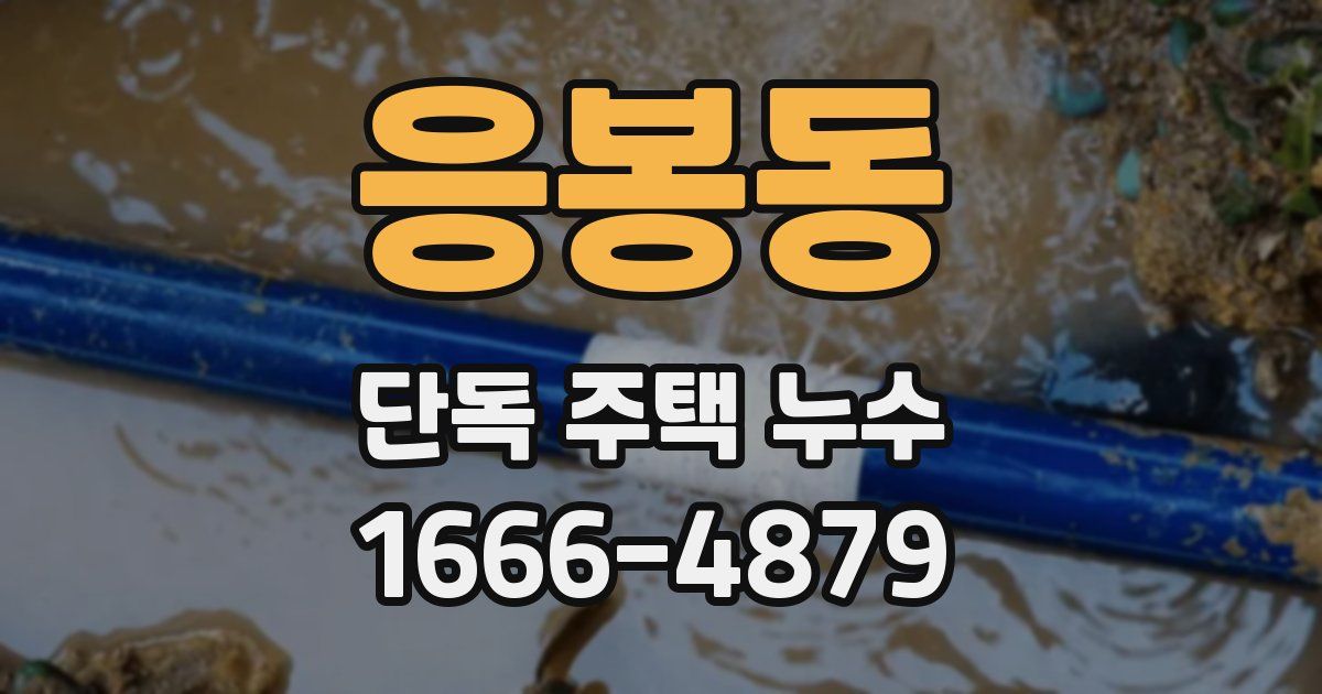 응봉동 단독 주택 누수