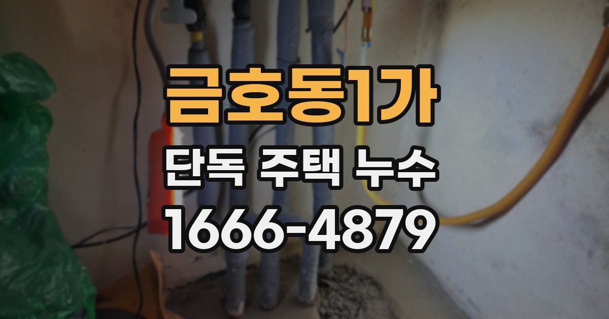 금호동1가 단독 주택 누수