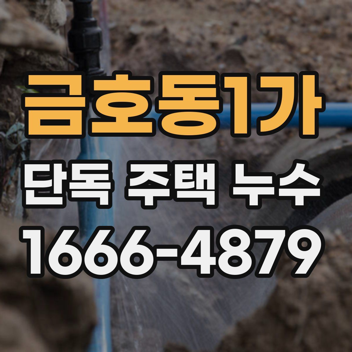금호동1가 단독 주택 누수