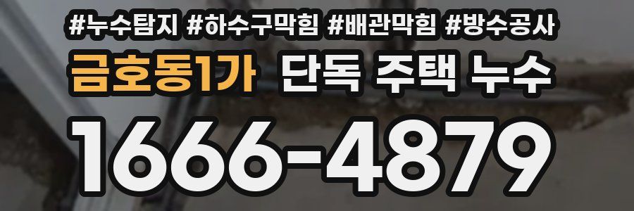 금호동1가 단독 주택 누수