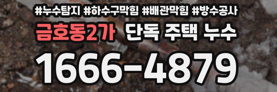 금호동2가 단독 주택 누수