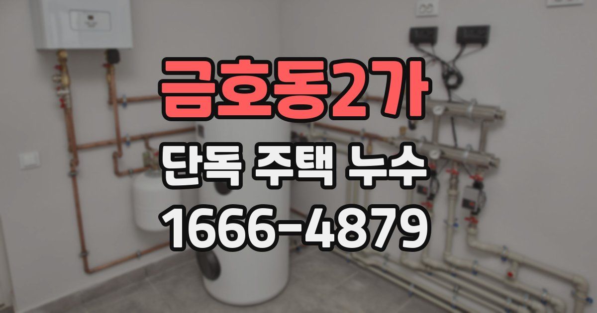 금호동2가 단독 주택 누수