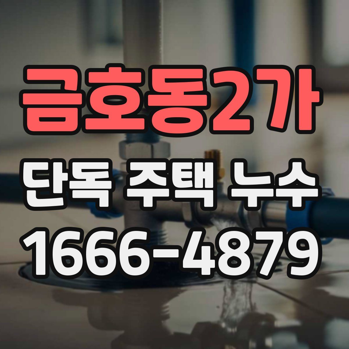 금호동2가 단독 주택 누수